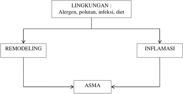Gambar 1. Inflamasi dan remodeling pada asma  LINGKUNGAN :  Alergen, polutan, infeksi, diet 