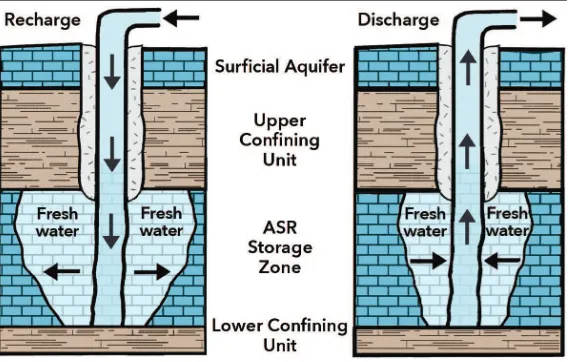 Figure 1. Recharge and discharge of water from a typical South Florida aquifer storage and recovery well