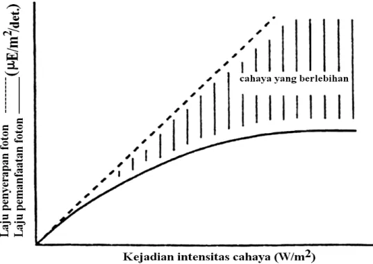 Gambar 1. Hubungan antara laju penyerapan foton (- - -) dan laju pemanfaatan foton (―) dalam fotosintesa (Owens  1994)