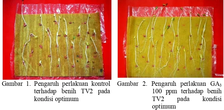 Gambar 1. Pengaruh perlakuan kontrol 