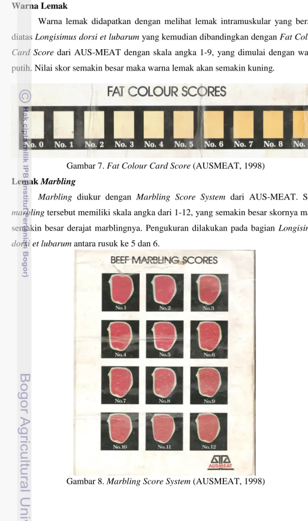 Gambar 7. Fat Colour Card Score (AUSMEAT, 1998) 