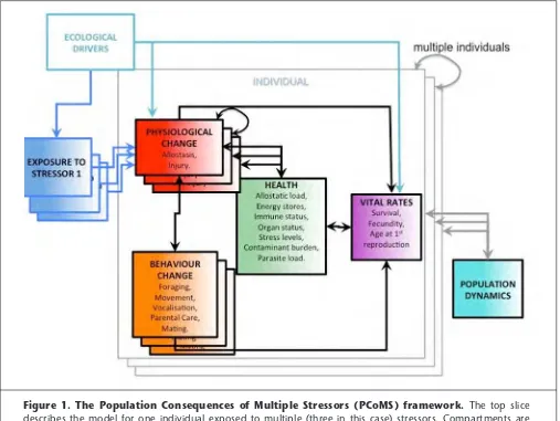 Figure 1. The Population Consequences of Multiple Stressors (PCoMS) framework. The top slice describes the model for one individual exposed to multiple (three in this case) stressors