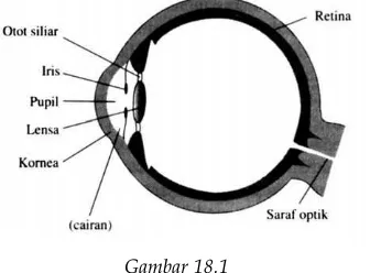 Gambar 18.1 