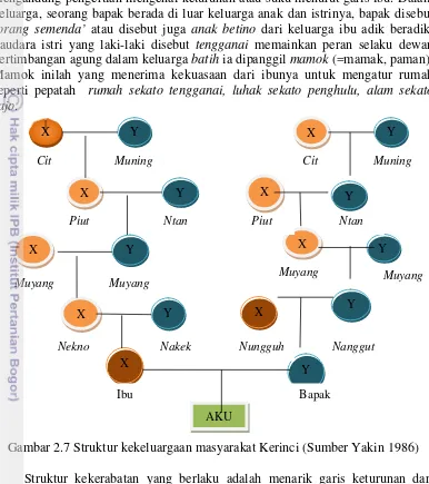 Gambar 2.7 Struktur kekeluargaan masyarakat Kerinci (Sumber Yakin 1986) 