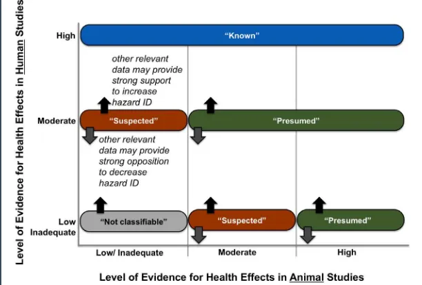FIGURE 2 OHAT Hazard Identiication Scheme, which the com-mittee used to classify the hazard associated with a given chemi-cal based on the level of evidence from available studies