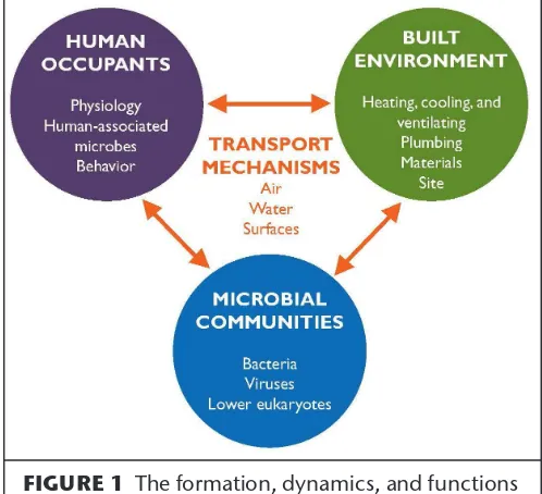 FIGURE 1 The formation, dynamics, and functions of microbiomes in built environments are shaped by complex interactions of factors related to the charac-teristics of a building, its human occupants, and the microbial communities associated with both.