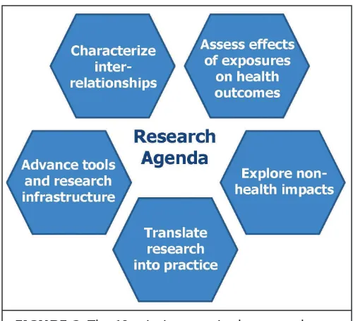 FIGURE 2 The 12 priority areas in the research agenda will make progress in achieving ive goals.