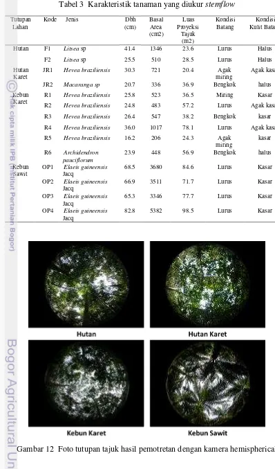 Tabel 3  Karakteristik tanaman yang diukur stemflow 