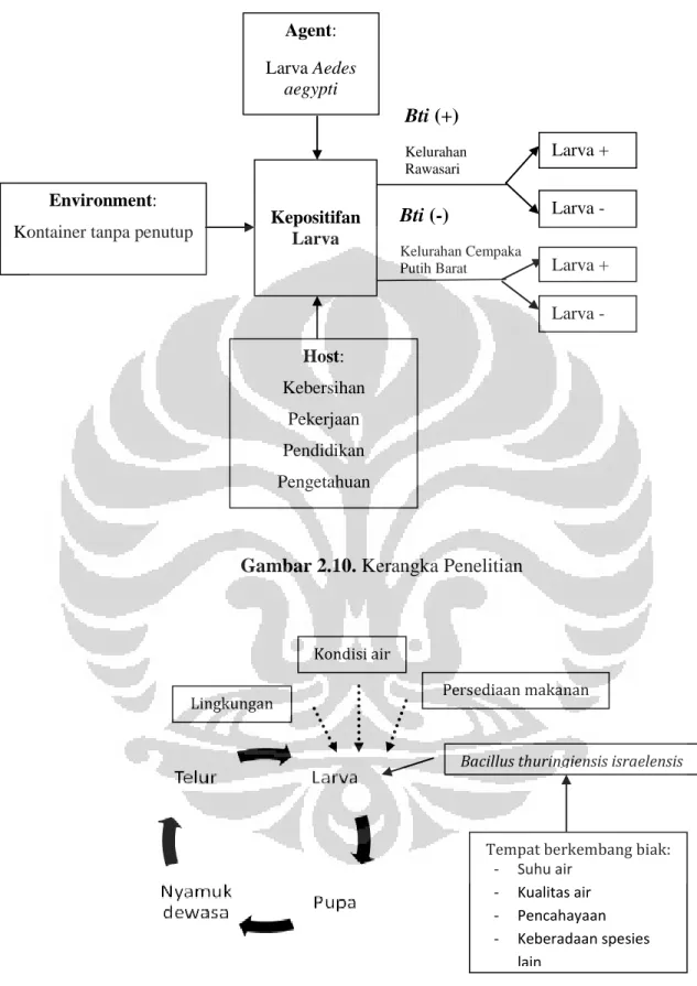 Gambar 2.10. Kerangka Penelitian 