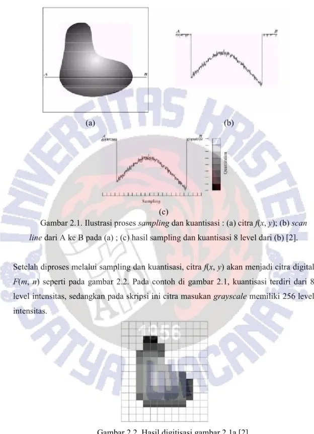 Gambar 2.1. Ilustrasi proses sampling dan kuantisasi : (a) citra f(x, y); (b) scan 
