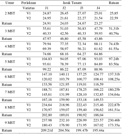 Tabel 1. Rataan tinggi tanaman (cm) terhadap  jarak tanam dan varietas pada  umur 2-9 MST 