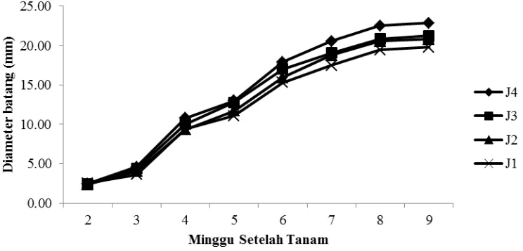 Gambar  9. Grafik pertumbuhan diameter batang  2-9 MST pada perlakuan  jarak tanam