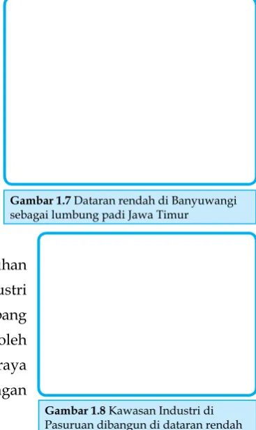Gambar 1.7 Dataran rendah di Banyuwangi 