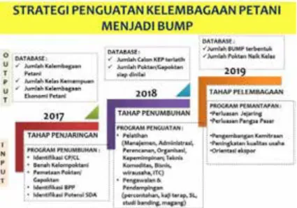 Gambar 4. Penguatan Kelembagaan Petani dan Tahapan menjadi BUMP  