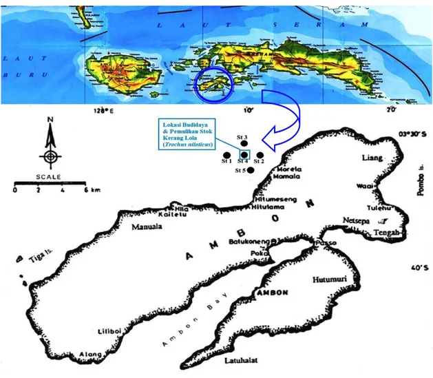 Gambar 1. Lokasi pengambilan  sampel  zooplankton di perairan  pesisir Morella, Maluku  Tengah