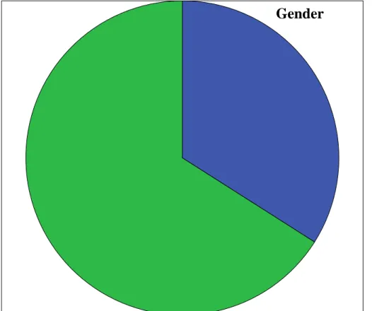 Gambar 5. Diagram Pie Jenis Kelamin (gender) Responden  