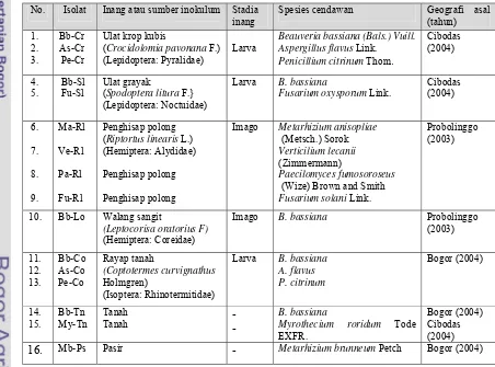 Tabel 4.1 Cendawan entomopatogen yang ditemukan pada berbagai inang atau sumber inokulum di alam   