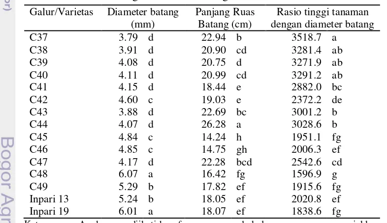 Tabel 5 Hasil rataan diameter batang, panjang ruas batang, dan rasio tinggi tanaman dengan diameter batang 