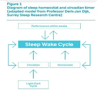 Gambar 2.1. Diagram homeostat tidur dan waktu circadian. 