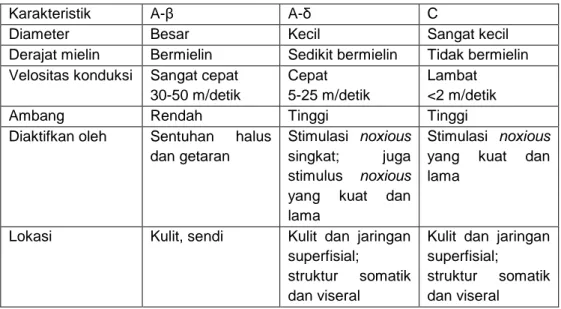 Tabel 1. Klasifikasi serabut saraf afferan primer 