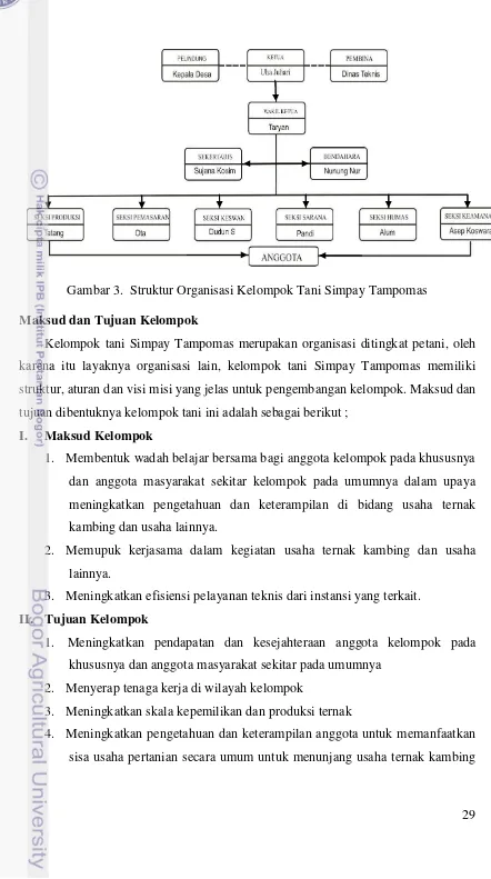 Gambar 3.  Struktur Organisasi Kelompok Tani Simpay Tampomas 