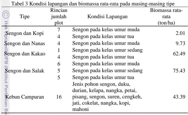 Tabel 3 Kondisi lapangan dan biomassa rata-rata pada masing-masing tipe  Tipe  Rincian jumlah  plot  Kondisi Lapangan  Biomassa rata-rata (ton/ha)  Sengon dan Kopi  7  Sengon pada kelas umur muda  2.01 