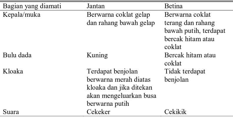 Tabel 1. Perbedaan Puyuh Jantan dan Betina (Sugiharto, 2005) 