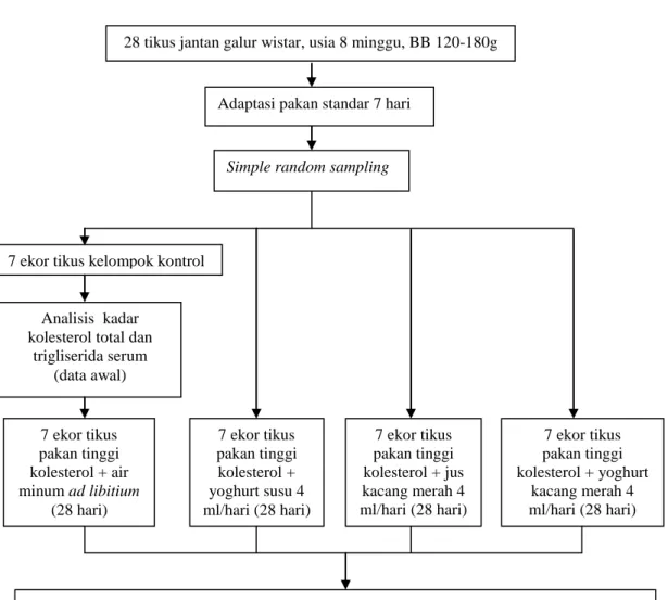 Gambar 2. Diagram alur penelitian 
