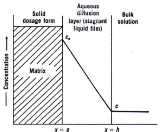 Gambar 2. Disolusi obat dari suatu padatan matriks (Martin, et al, 1993). 