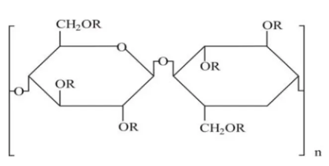 Gambar 5. Struktur kimia HPMC (Rowe, dkk., 2006) 