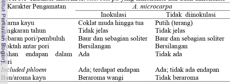 Tabel 3.1  Karakter anatomi A. microcarpa yang diinokulasi dan tidak diinokulasi 