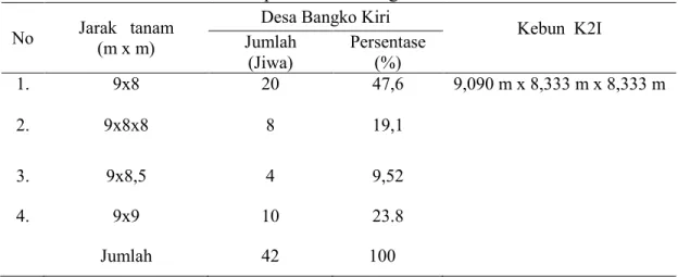 Tabel 3. Jarak Tanam Petani Sampel di Desa Bangko Kiri dan Kebun K2I 