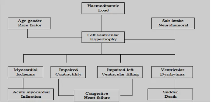 Gambar 2.1. Skema Patofisiologi Hipertrofi Ventrikel Kiri (2) 