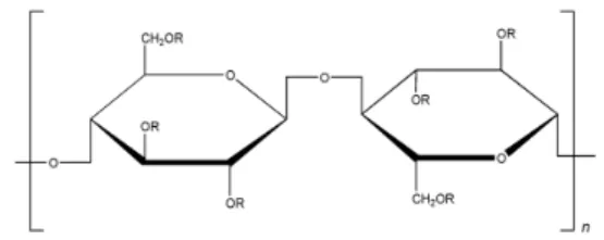 Gambar 6. Struktur Molekul HPMC (Harwood, 2006) 