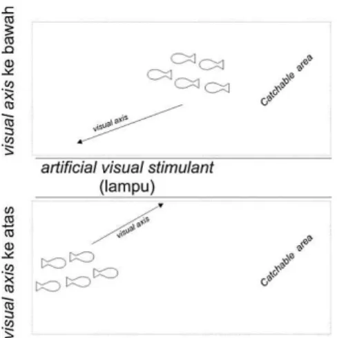 Gambar 12  Ilustrasi tingkah laku ikan terhadap artificial visual stimulant 