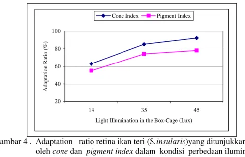 Gambar 4 .  Adaptation   ratio retina ikan teri (S.insularis)yang ditunjukkan          oleh cone dan  pigment index dalam  kondisi  perbedaan iluminasi          cahaya (simulation) (N:12; TL: 6-10,5 cm)