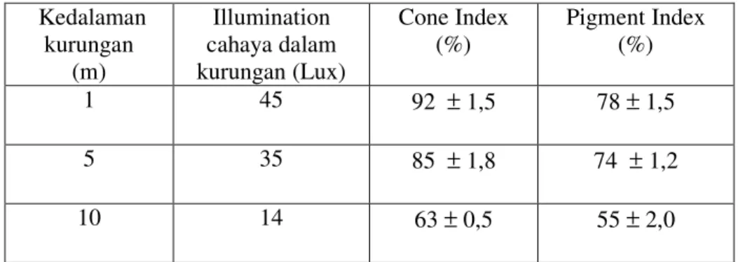 Tabel  2. Hasil analisis rata-rata cone dan pigment indeks pada ikan teri                  (S.insularis) berdasarkan perbedaan iluminasi cahaya  