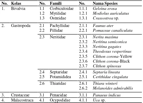 Tabel 2. Spesies Makrozoobenthos yang Ditemukan di Sungai ReulengLeupung, Kabupaten Aceh Besar.
