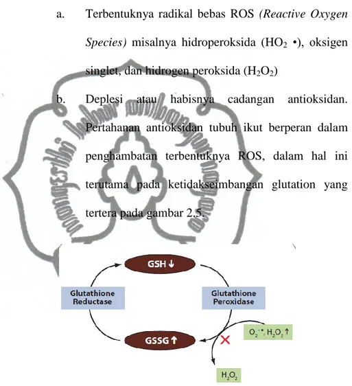 Gambar 2.5  Efek timbal pada metabolisme GSH. 