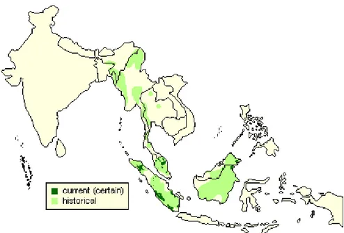 Gambar 6  Peta Distribusi Badak Sumatera (Foose dan van Strien 1997)
