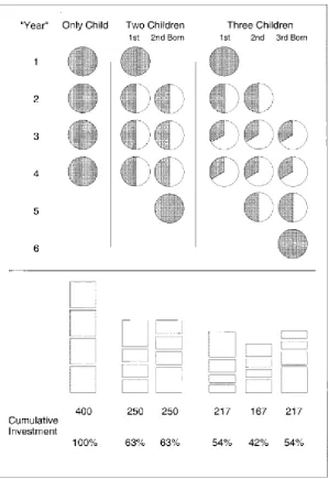 Figure 7.3. Spheres in the upper part of the figure represent resource allocation according to the 
