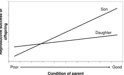 Figure 7.4. Schematic of the conditions necessary for the Trivers-Willard hypothesis: 