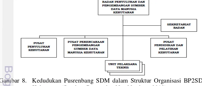 Gambar 7. Struktur Organisasi Awal BP2SDM Kehutanan (Sumber: Permenhut 