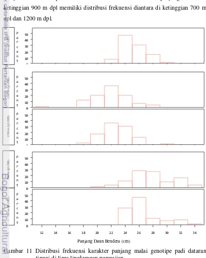 Gambar 11 Distribusi frekuensi karakter panjang malai genotipe padi dataran             