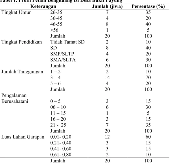 Tabel 1. Profil Petani Bengkuang Di Desa Bukit Payung  
