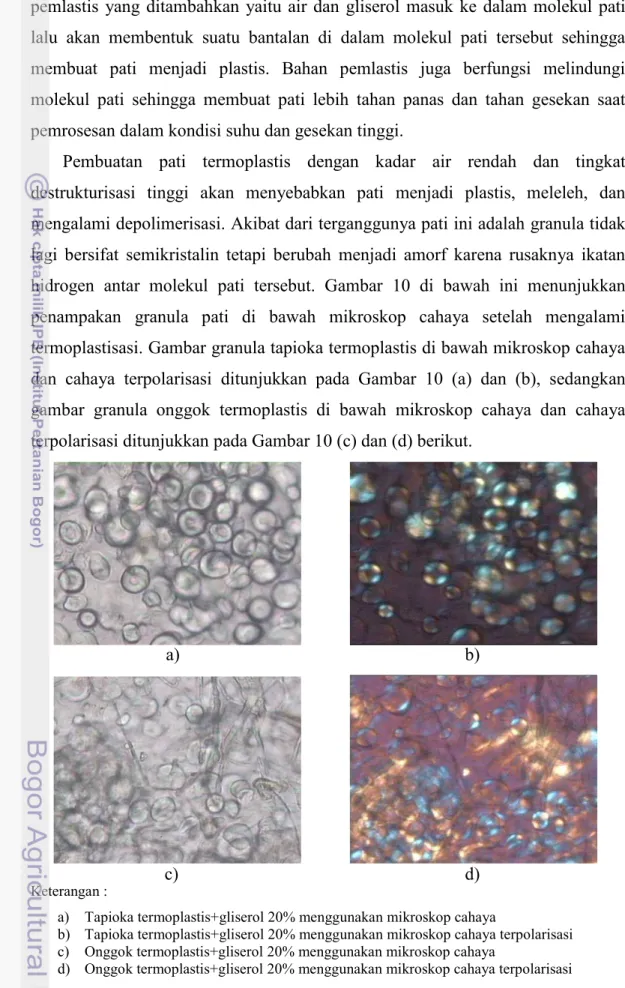 Gambar 10. Granula pati pada pati dan onggok tapioka termoplastis        dengan perbesaran 200 x 
