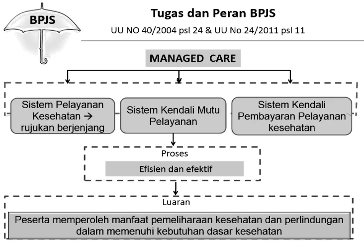 Gambar 2.1 Tugas dan Peran BPJS (Managed Care) 
