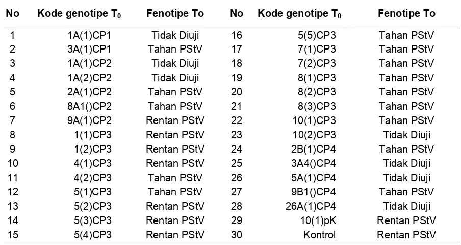Tabel 3.  Respon tanaman transgenik generasi T0 terhadap PStV   