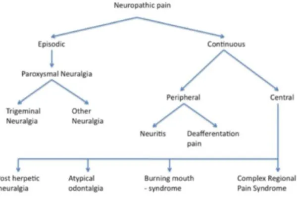 Gambar 1. Klasifikasi nyeri neuropatik 
