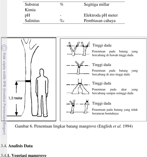 Gambar 6. Penentuan lingkar batang mangrove (English et al. 1994) 